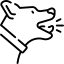 Szkolenie psów